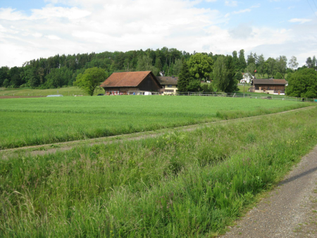 &copy; isacasa.ch